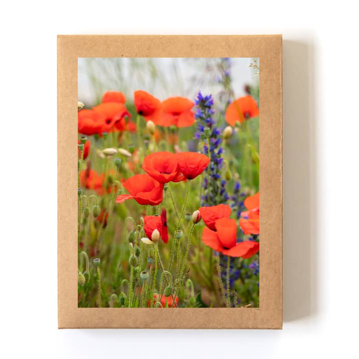 Kartenset „Field of Poppies“ in Schachtel (8 Karten+Umschläge) für den Großhandel von Andrea Morris Art