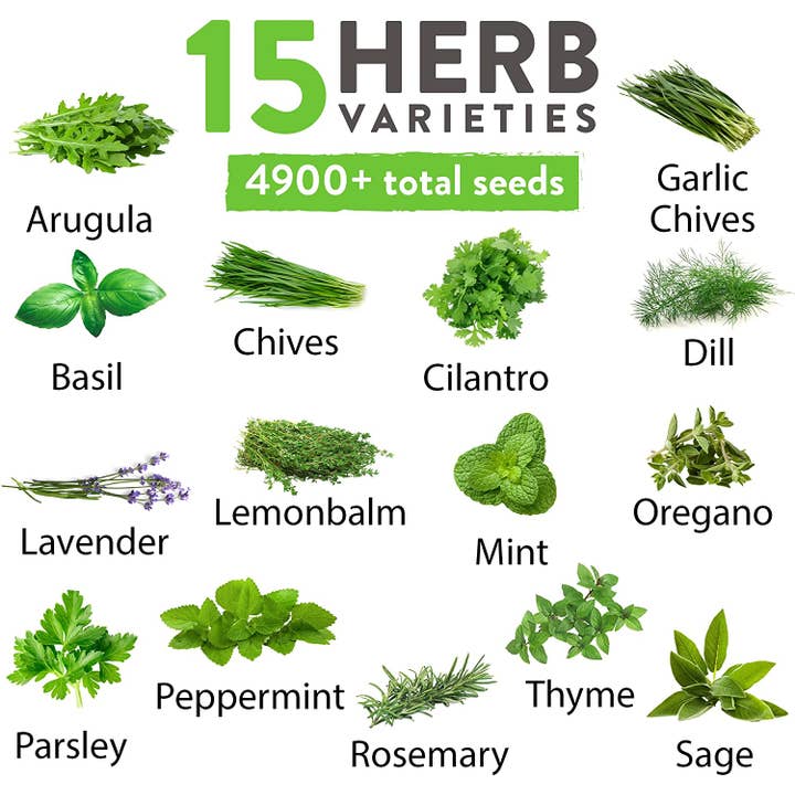 Homegrown Garden - Wholesale Plant Seeds - 15 Culinary Herb Seed Vault - Heirloom and Non GMO2