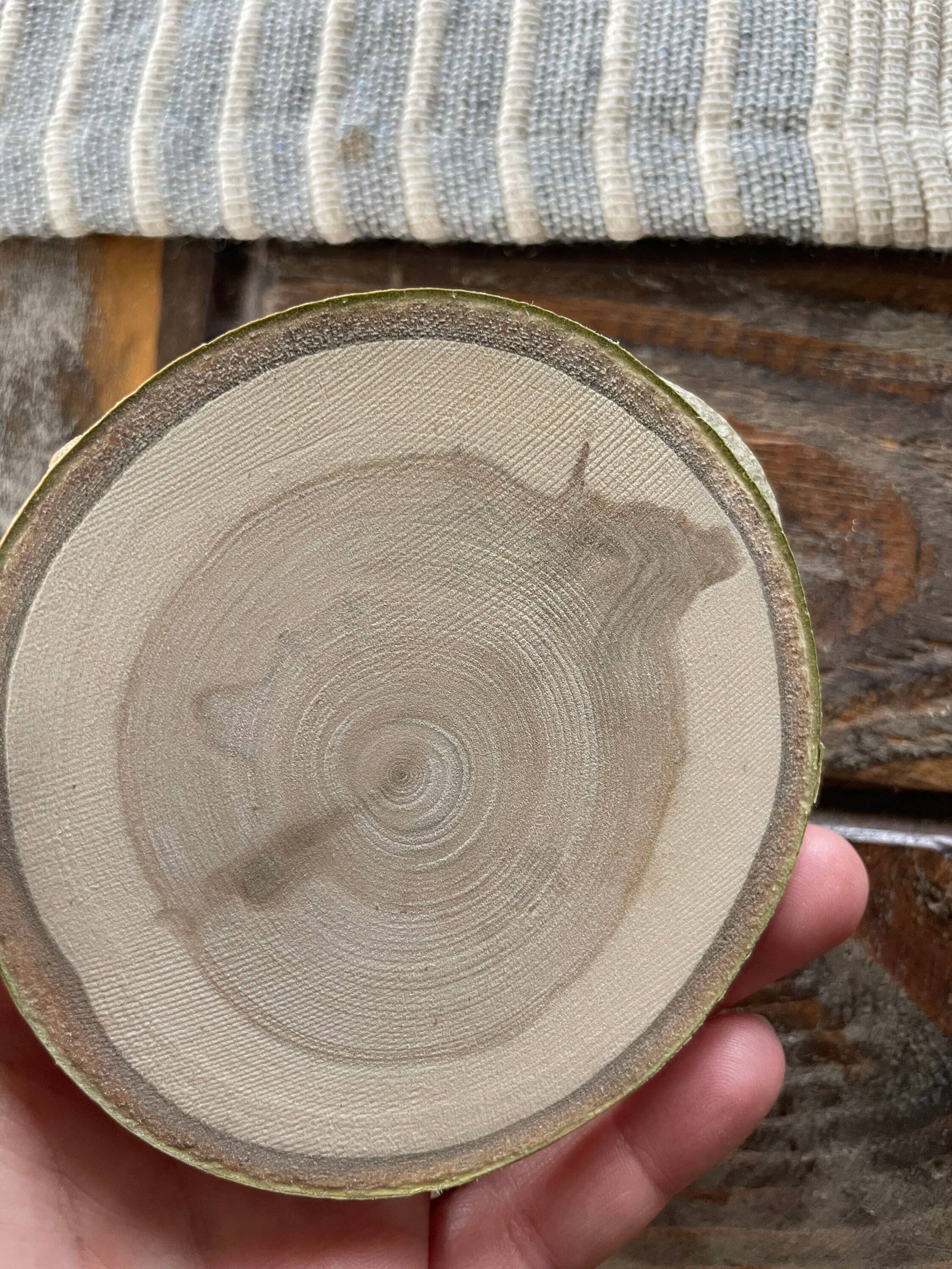 Parks Art Collection - Wholesale Coasters - Colorado Coaster, State Shape on Local Aspen Wood5