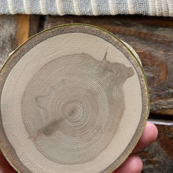 Parks Art Collection - Wholesale Coasters - Colorado Coaster, State Shape on Local Aspen Wood5