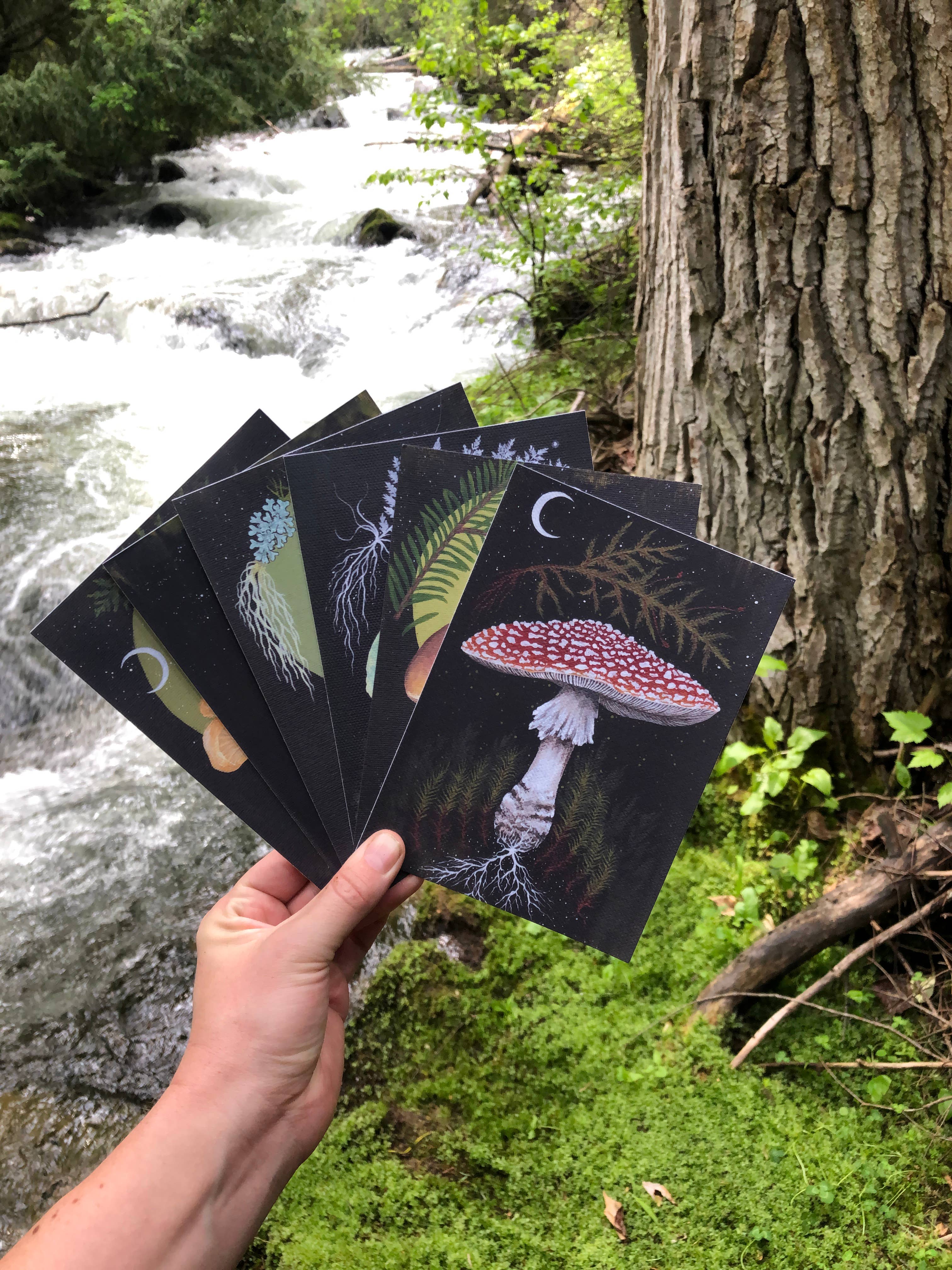 Up Moss Creek Studio - Wholesale Postcard Set - Dark Mycology Postcard Set (6)4