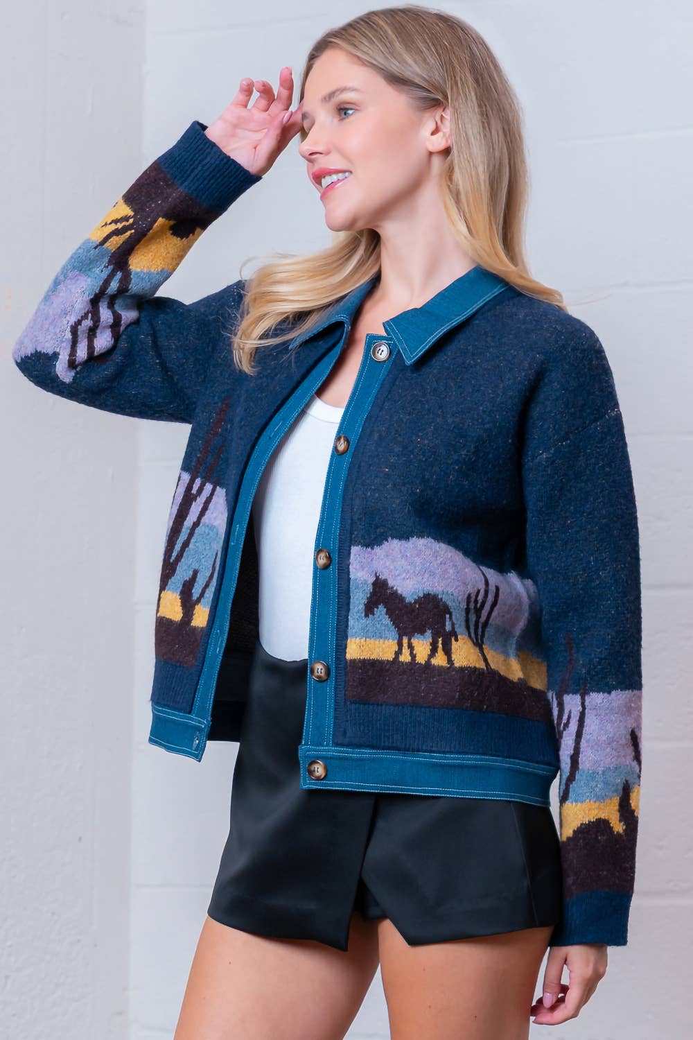 Blau Multi HWJ65173T-L/S MIT KRAGEN DENIM GEMISCHTE SWEATER JACKE für den Großhandel auf Faire3