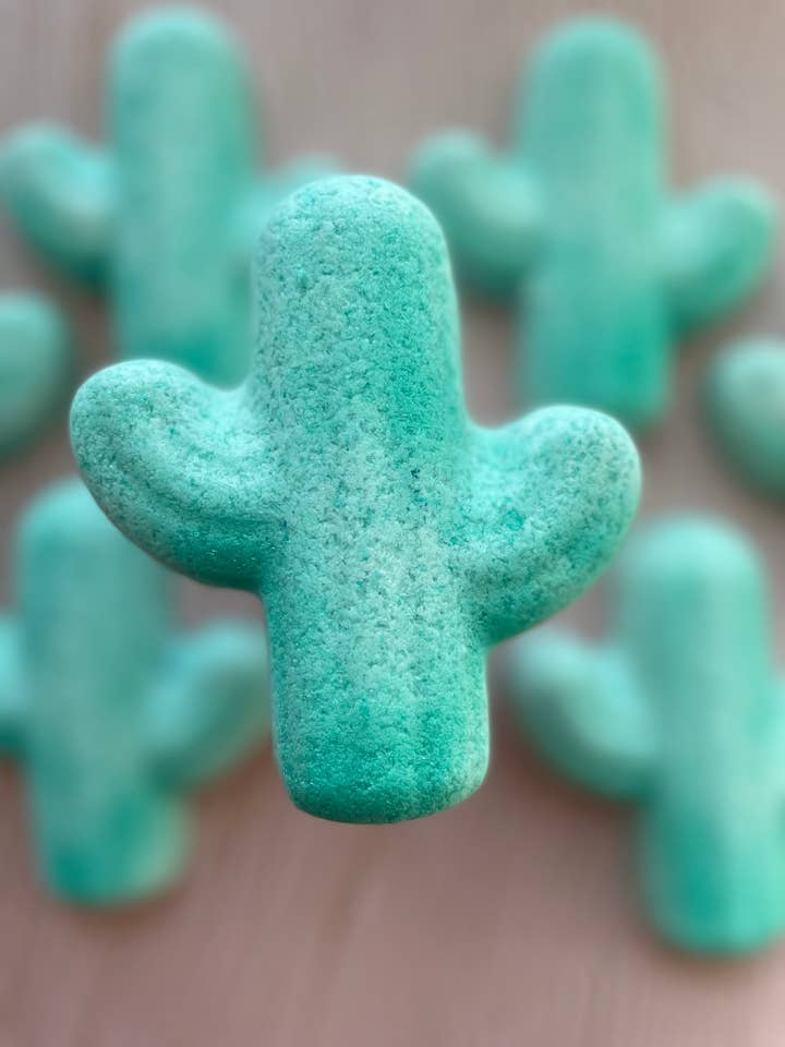 Cactus Bath Bomb for wholesale by The Sister Made