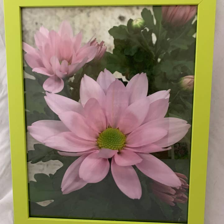 Hello - lime framed wall print for wholesale by Analogy Designs