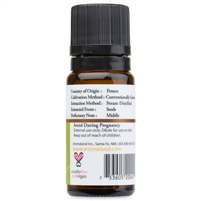 AROMALAND INC. - Wholesale Essential Oil - Fennel Essential Oil1