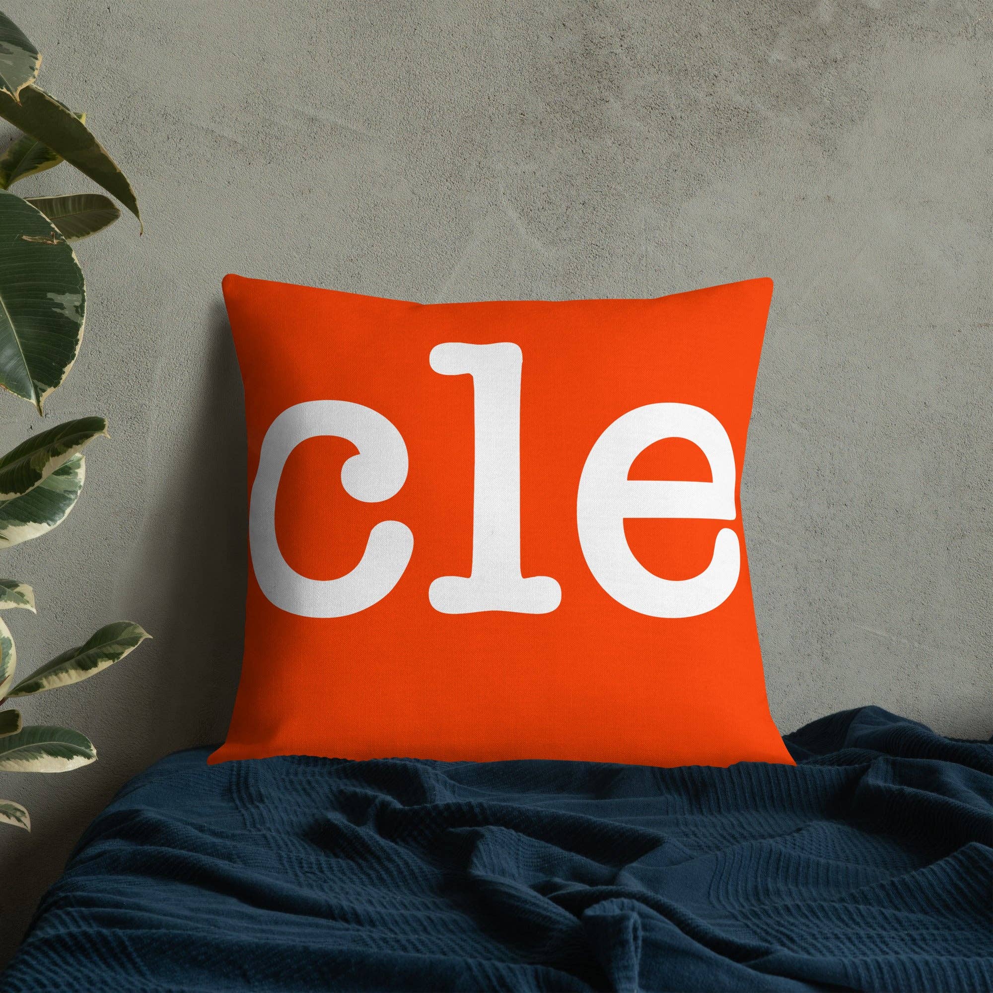 Stadium Prints by BTB – wholesale Throw/decorative pillow – Cleveland Browns Football Stadium & City Pillows11