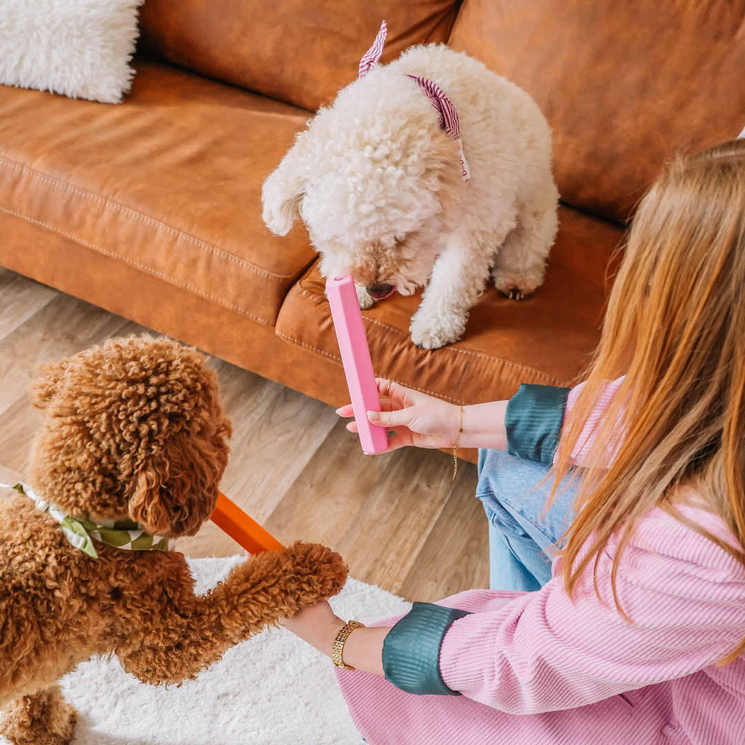 Babelle For Dogs - Wholesale Speeltje - Hond - The Treat Tube - interactief speeltje voor honden - roze12