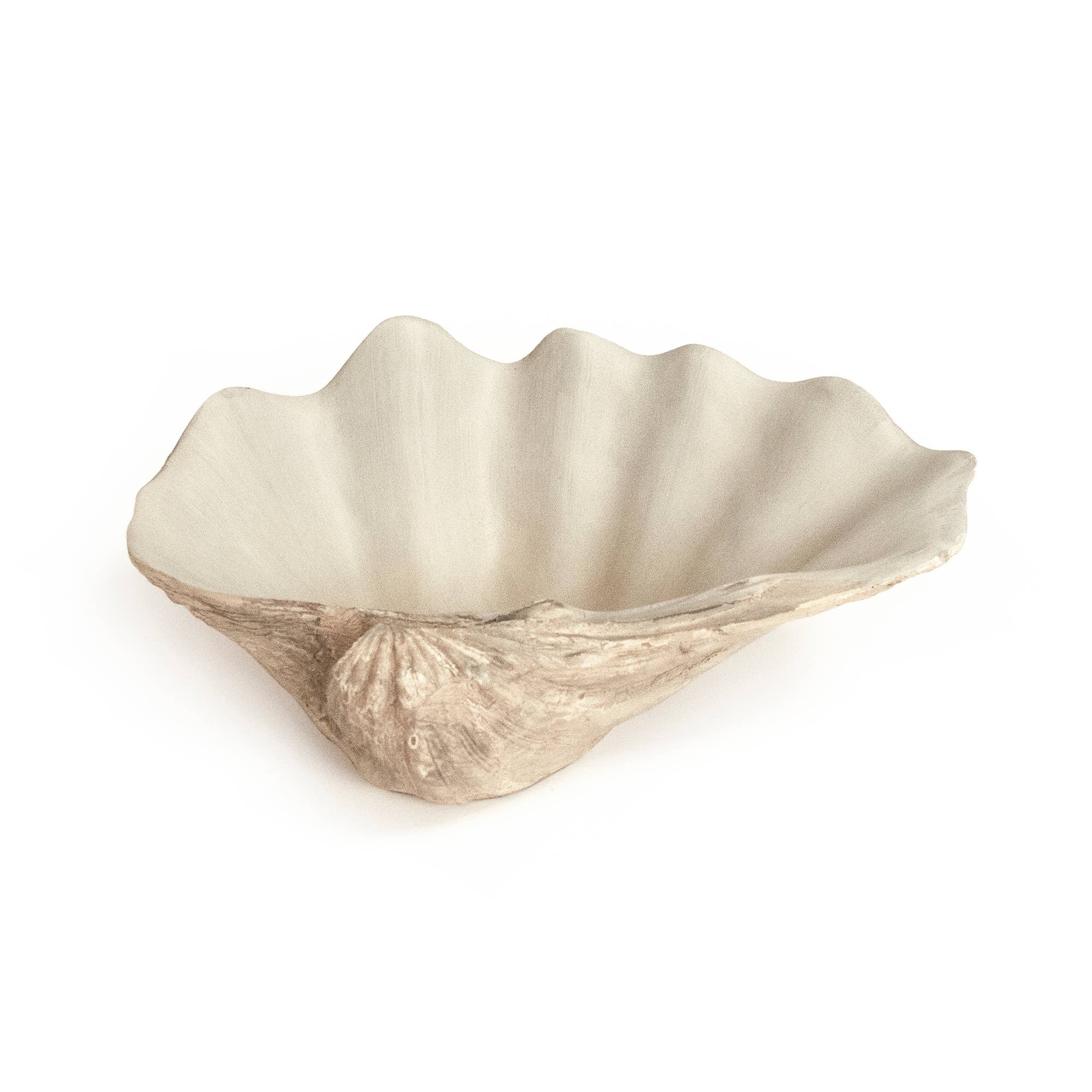 Off white Taupe Tridacna Half Shell Bowl for wholesale on Faire1