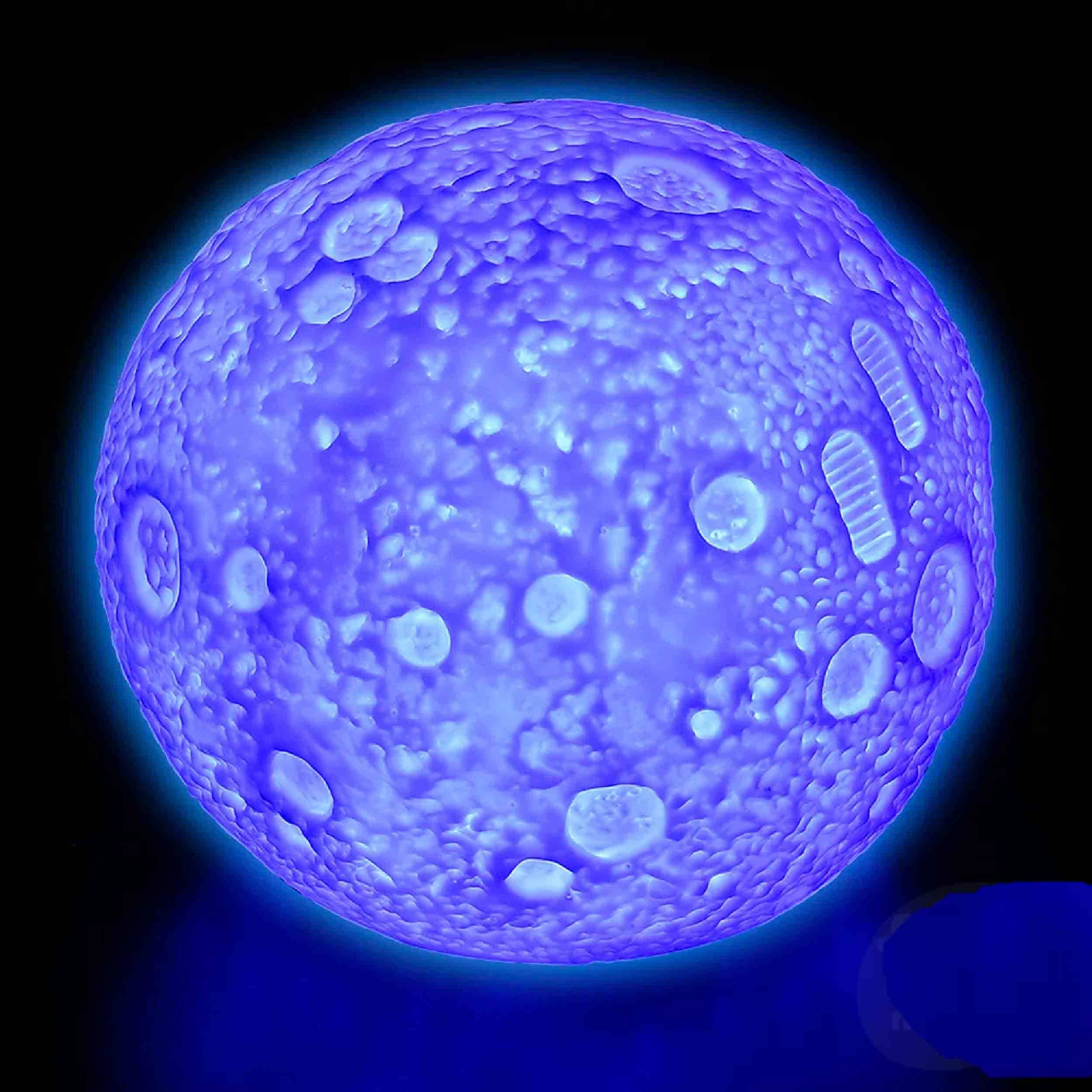 GulleeGadgets - Wholesale Night Light - Color Changing Moon Light for Home Decor - in bulk1