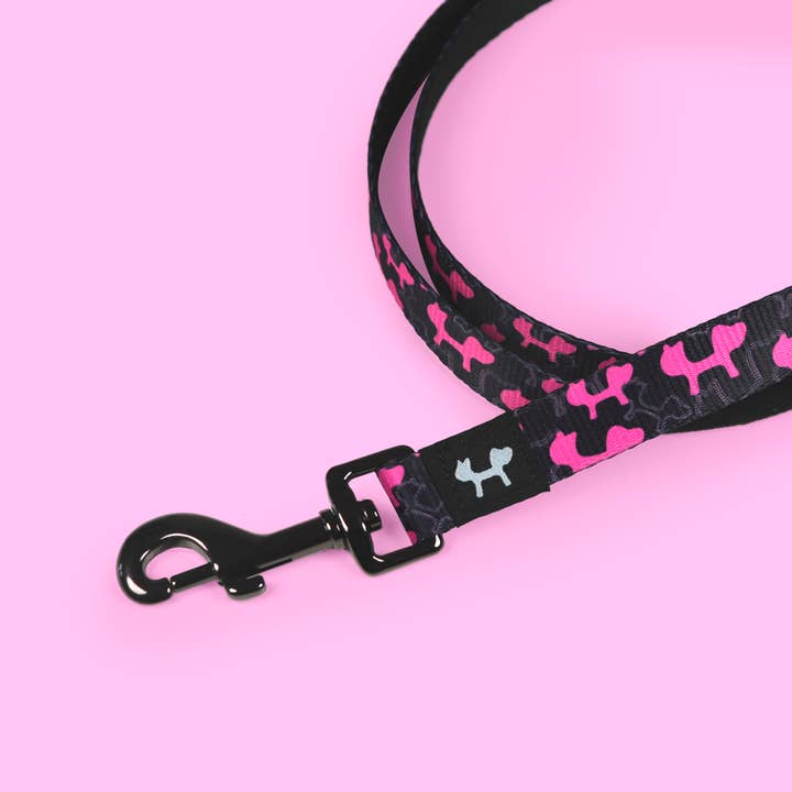 United Pets - Vendita all'ingrosso Guinzaglio - Cani - Guinzaglio in nylon con dettagli in acciaio inossidabile2