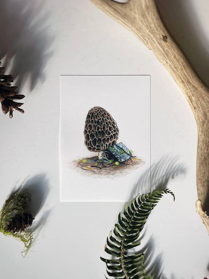 Lámina de hongos modelo, arte de hongos, pintura en acuarela para venta al por mayor de Sword Fern Studios