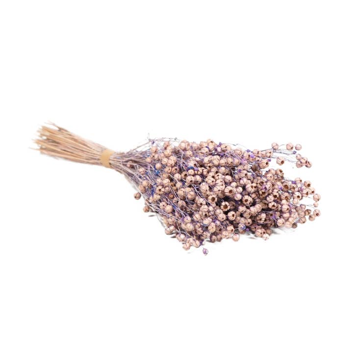 Wildflowers by Floriette - Wholesale Dried/Pressed Flowers - Dried Flowers - Linium Lilac