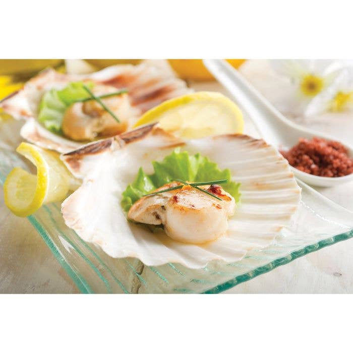 HIC - Harold Import Co. - Wholesale Kitchen Tool/Gadget - Maine Man Natural Baking Shells, 4in2