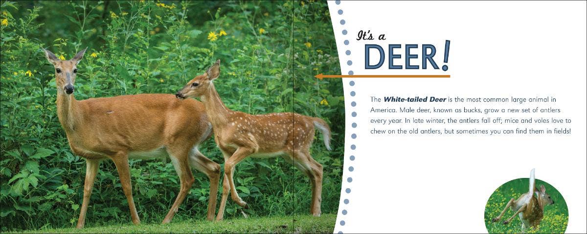 AdventureKEEN - Wholesale Nature & Outdoors - Whose Track Is That?3