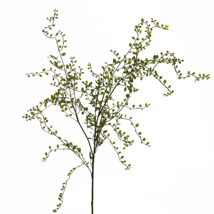 Mühlenbeckia gren 100 cm grøn for engroshandel hos Floratexx