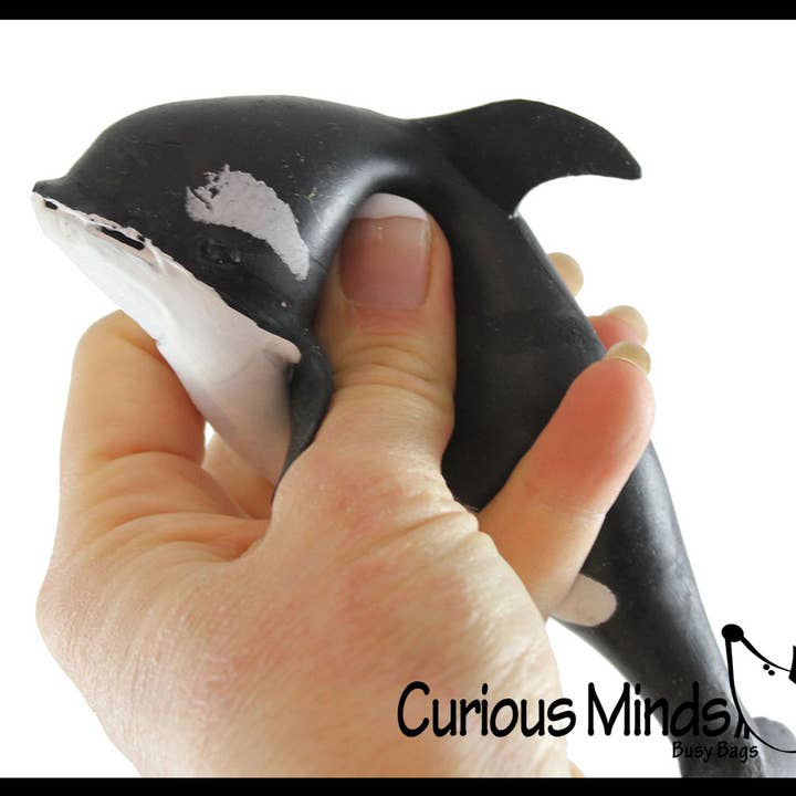 Curious Minds Toys - Wholesale Squishy Toy - Kids & Baby - 1 Orca Stretchy and Squeezy Toy - Crunchy Bead Filled - Fidg