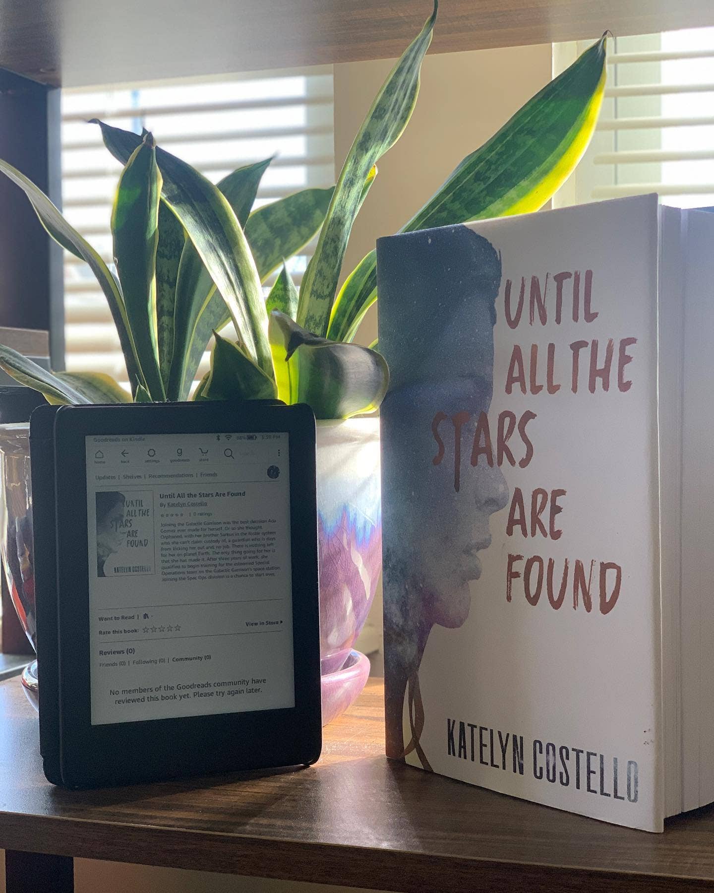 Author Katelyn Costello - Wholesale Science Fiction Novel - Until All the Stars are Found2