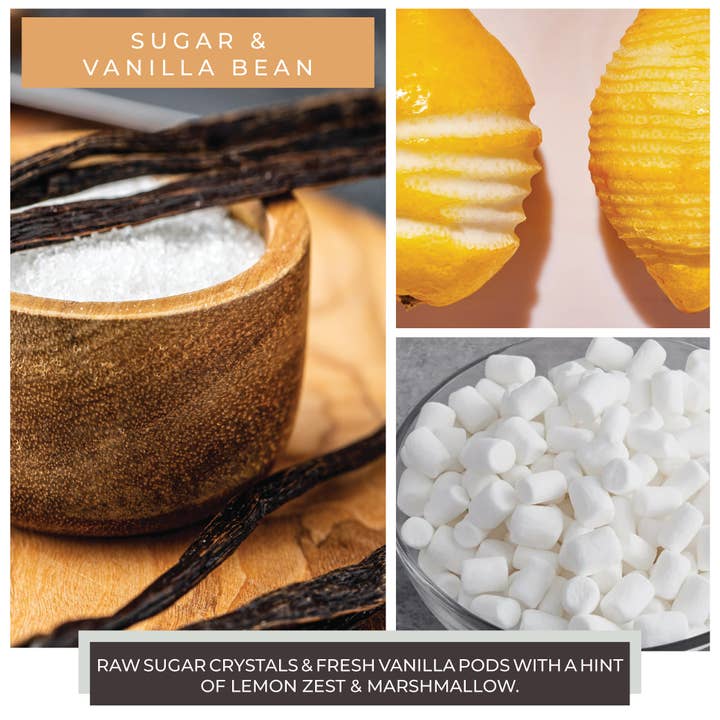 A Cheerful Giver - Venta al por mayor Velas en tarros - Vela alegre (24 oz.) — Azúcar y vainilla2