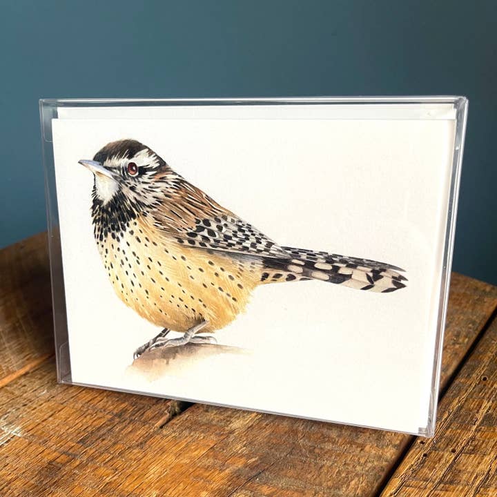 Cactus Wren - Set of 4 Note Cards for wholesale by Amy Shawley Paquette