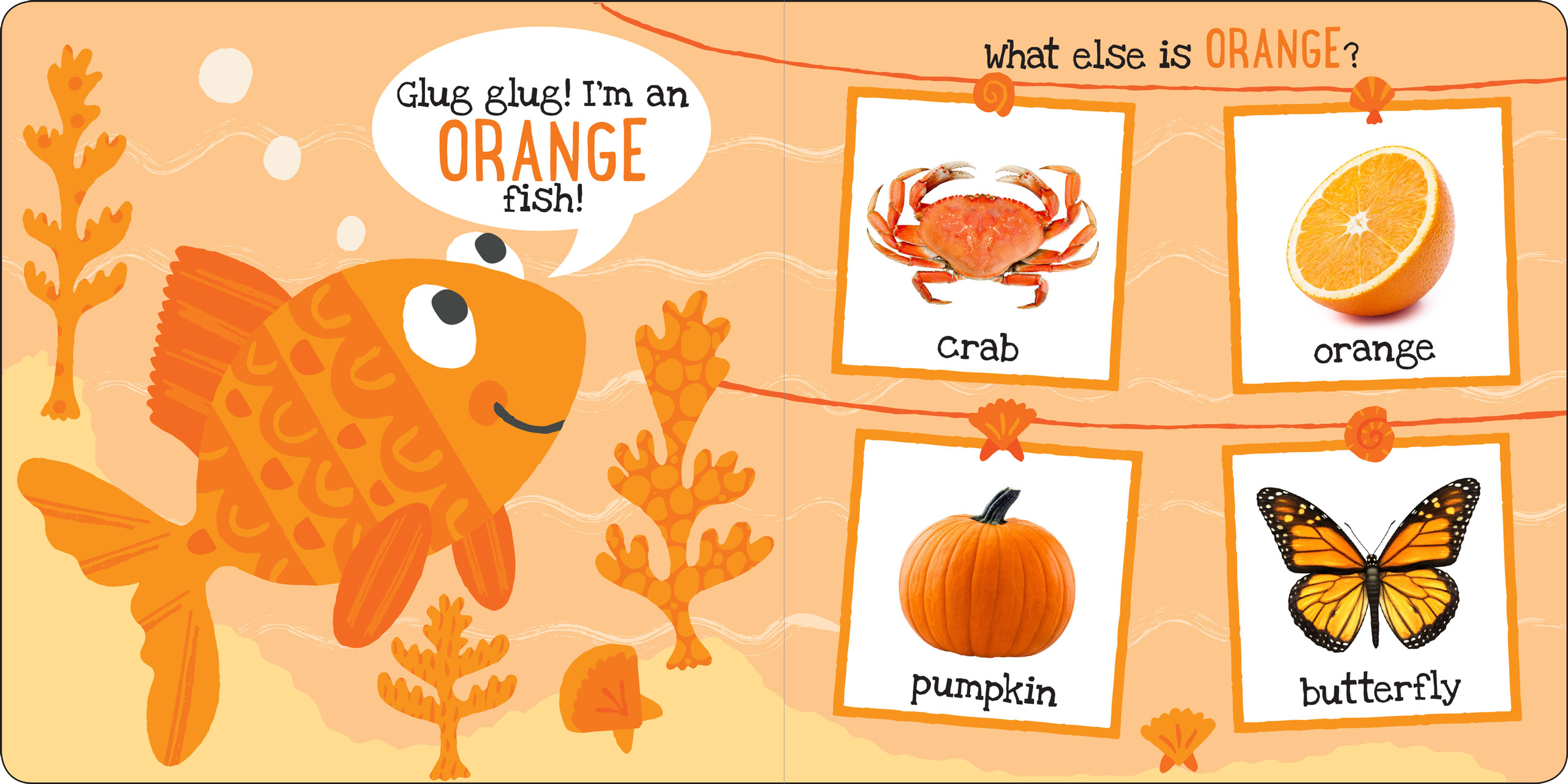 Peter Pauper Press - Wholesale Baby & Toddler Book (0-2) - My First COLORS Board Book2