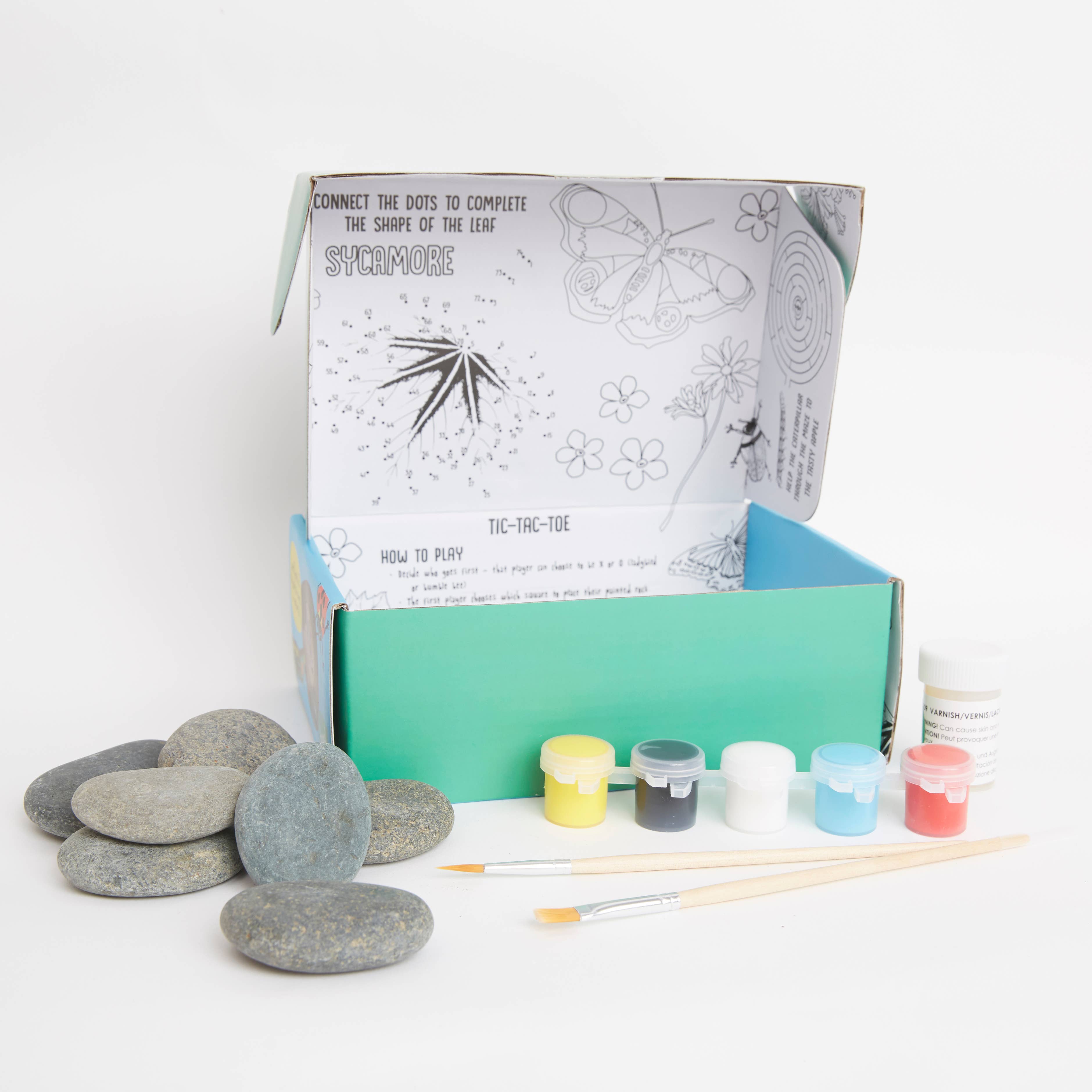 West Design Products – wholesale DIY craft kit – Child – Royal Horticultural Society Rock Painting Kit - Bugs8