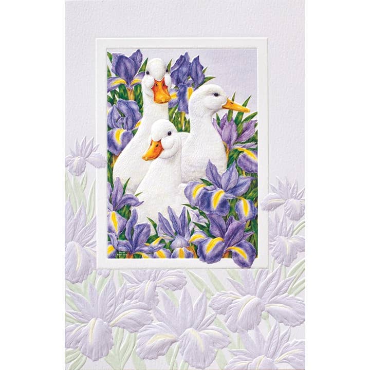 Pumpernickel Press - Wholesale Birthday Card - Garden Ducks - Deluxe