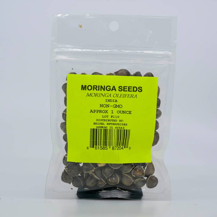 Moringa Seeds for wholesale by Brigel Enterprises