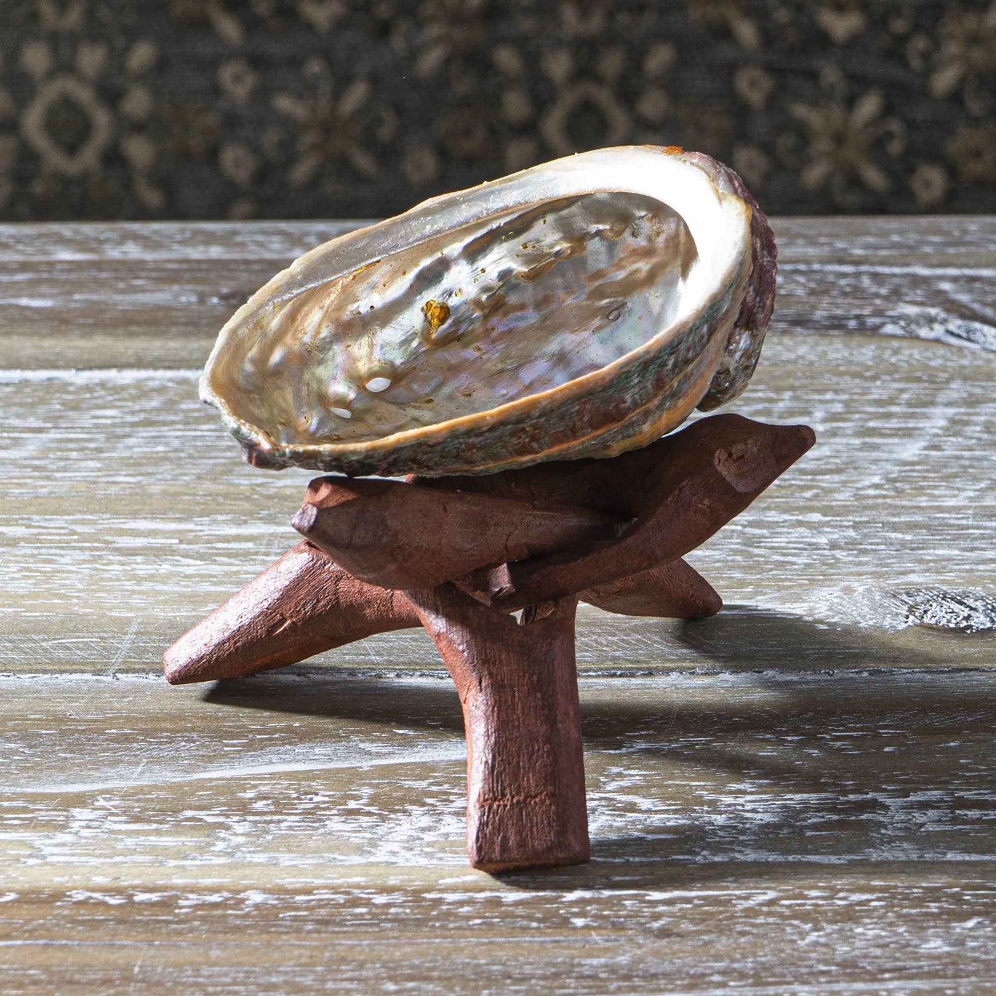 Pacific Trading - Wholesale Smudge Plate - Abalone Smudge Shell With Tripod Stand 4"5