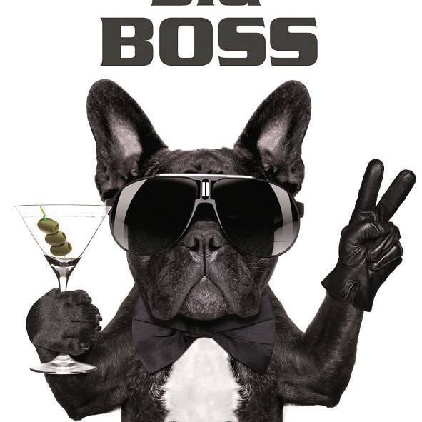 stretcher for wholesale by Bönninghoff