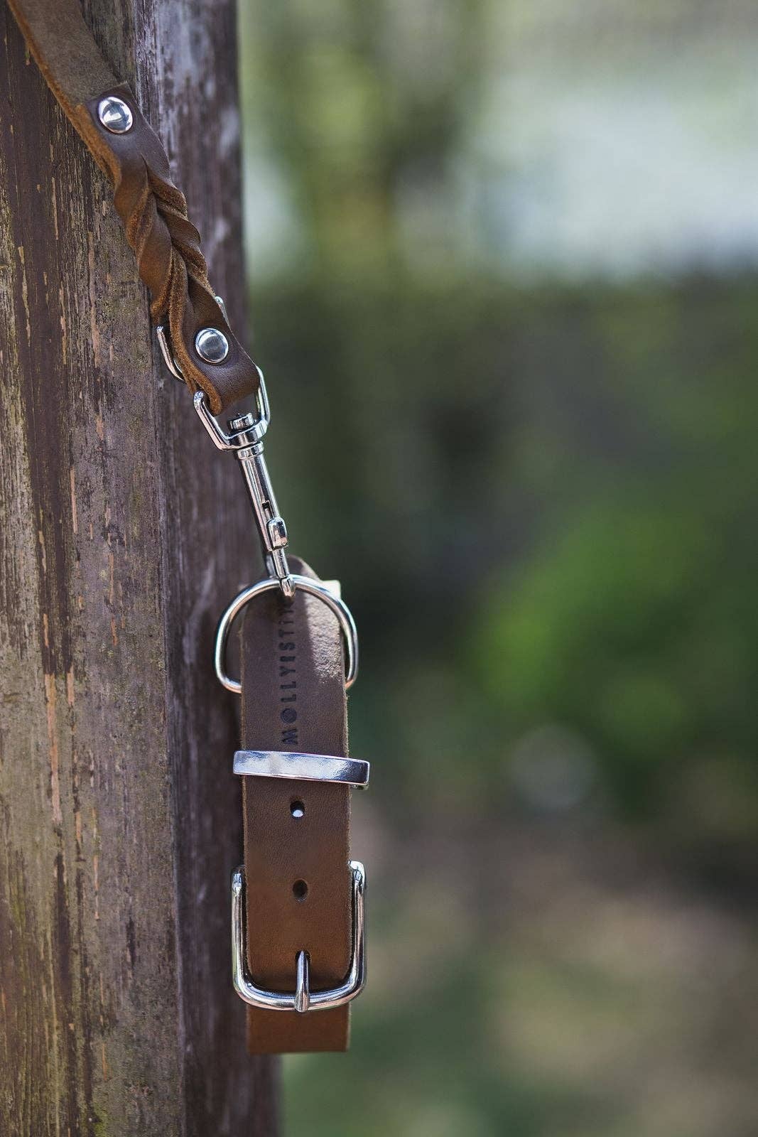 Molly and Stitch - Wholesale Pet Collar - Dog - Butter Leather Dog Collar - Classic Brown2