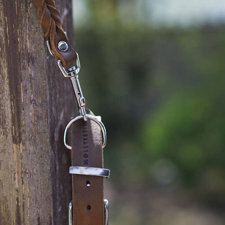 Molly and Stitch - Wholesale Pet Collar - Dog - Butter Leather Dog Collar - Classic Brown2