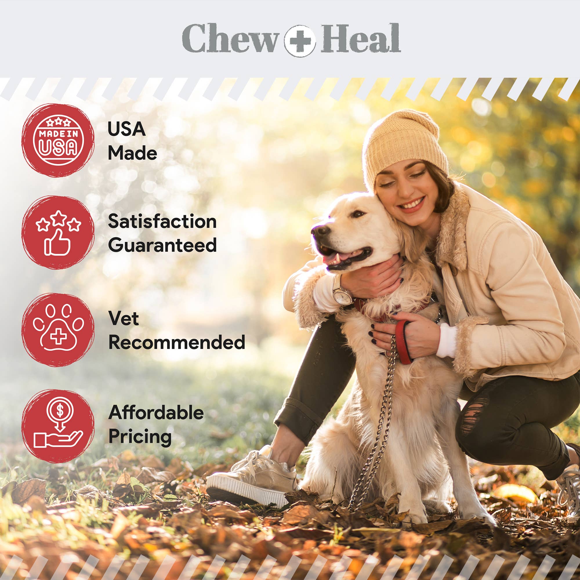 Chew + Heal - Wholesale Pet Grooming Aid - Dog - Antibacterial & Antifungal Medicated Wet Wipes for Dogs5