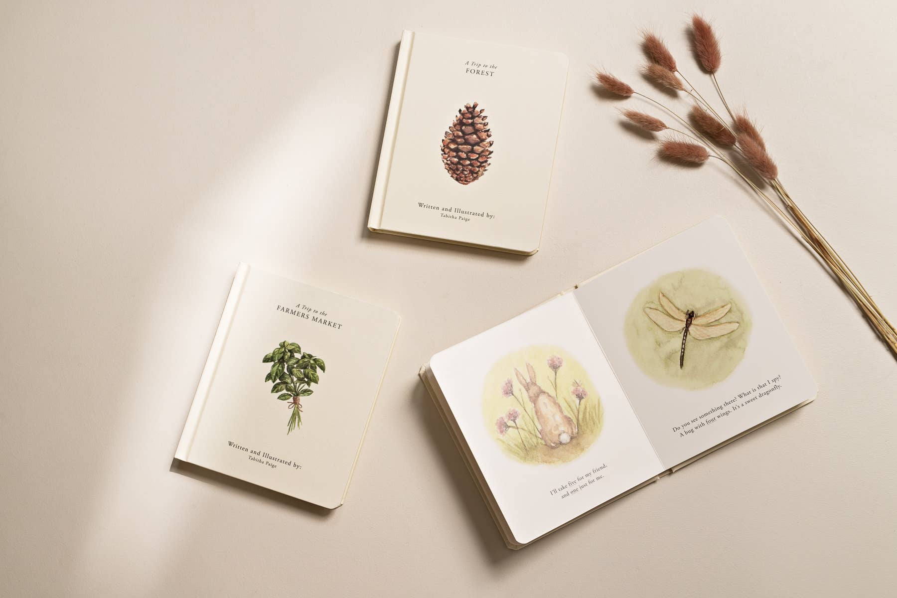 Paige Tate & Co. - Vente Livre pour bébés et tout-petits (jusqu'à 2 ans) - Notre coffret de livres cartonnés "Nos petites aventures" pour enfants8