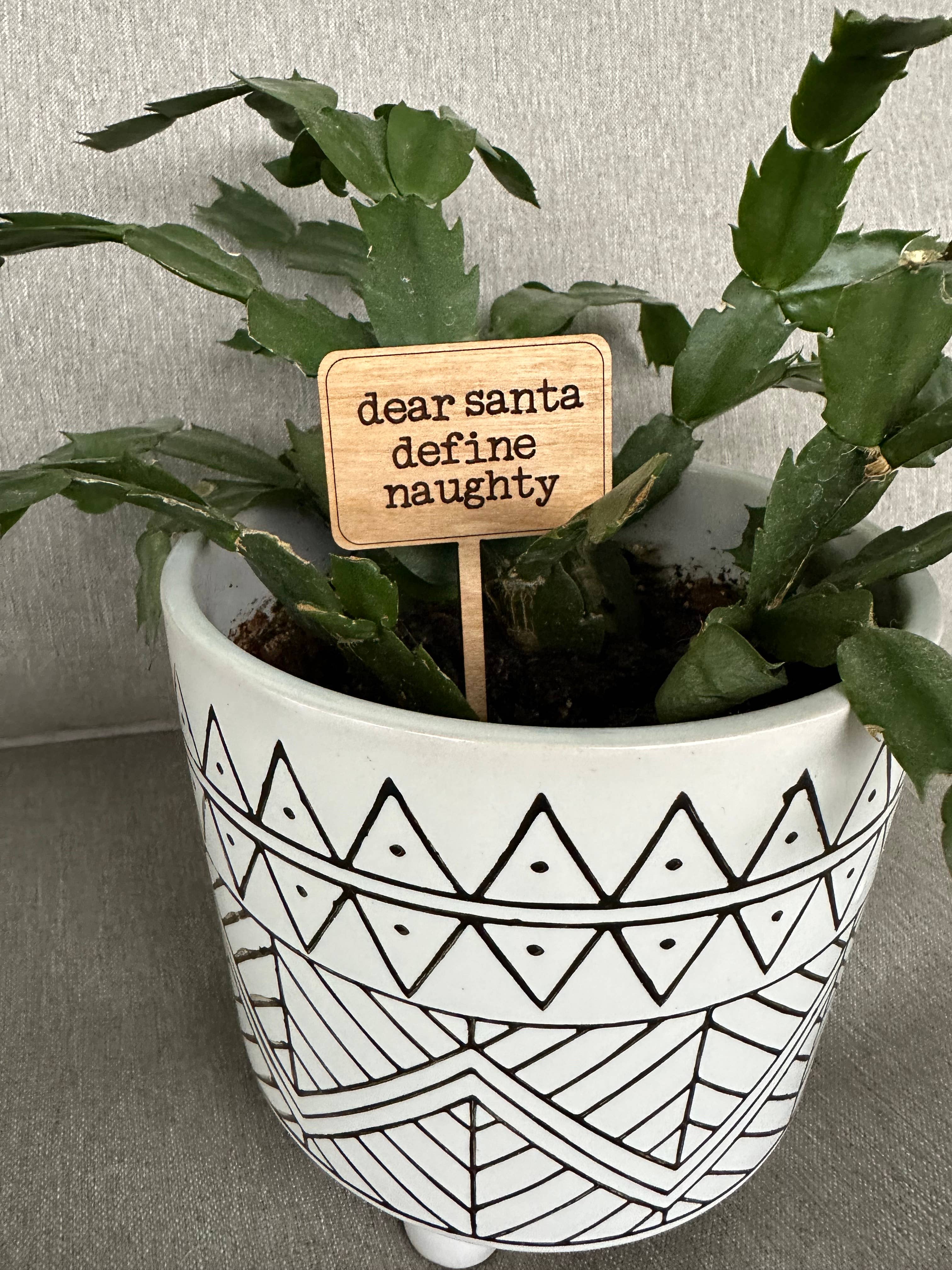 Dogwood and Dust - Wholesale Garden/Lawn Stake - Snarky Holiday Christmas Gift Plant Sticks Signs2