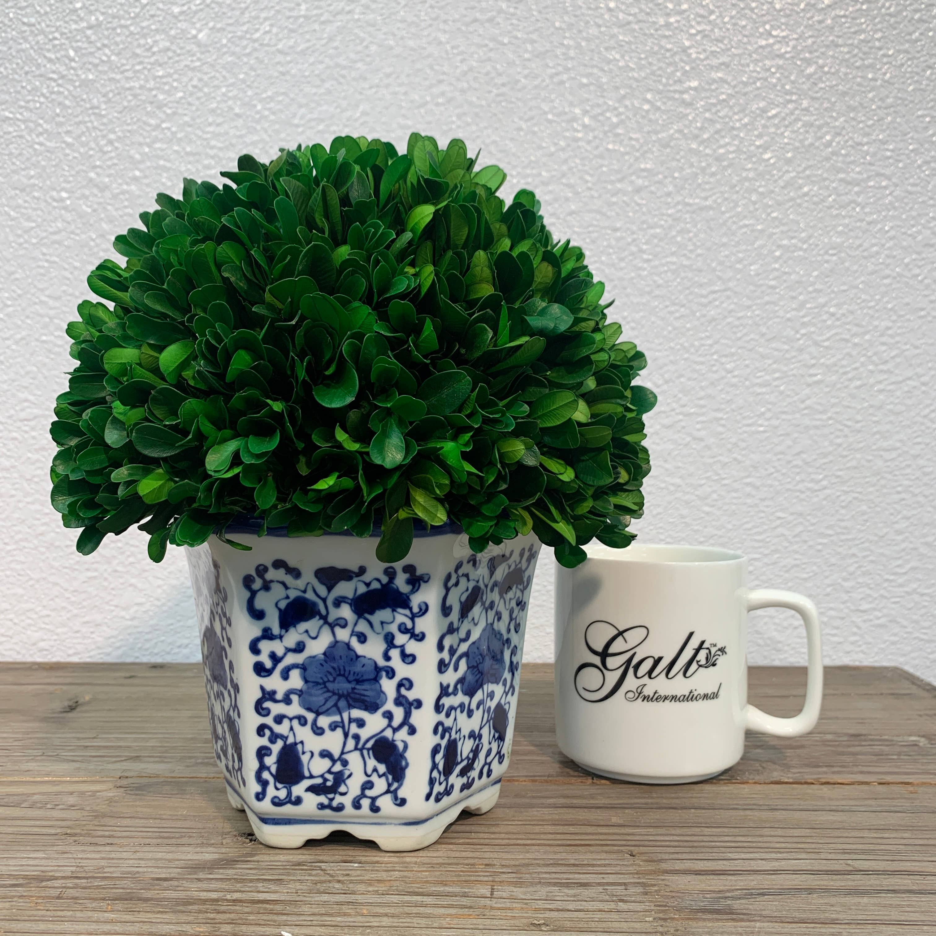 Galt International Company - Wholesale Artificial Plant - Boxwood Ball Topiary in Hexagon Blue & White Ceramic Pot9