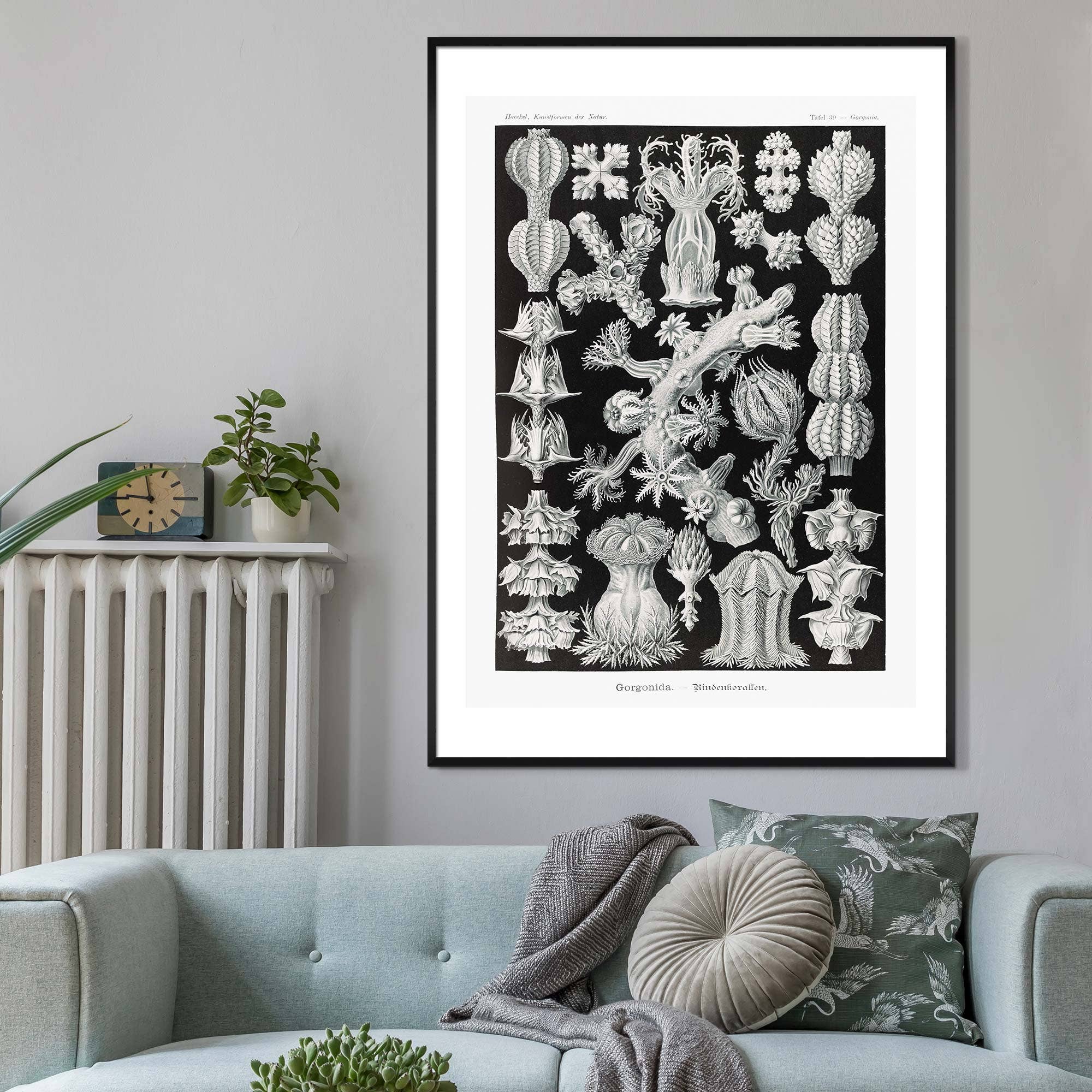 Ink & Drop – Großhandel Kunstdruck – Korallen Schwarz-Weiß-Antik-Print1