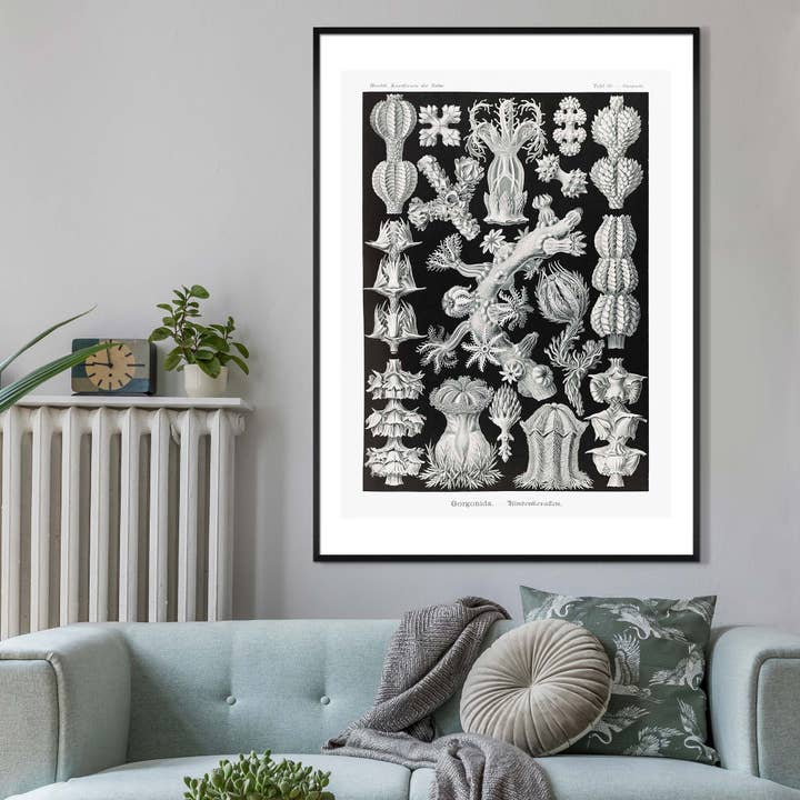 Ink & Drop – Großhandel Kunstdruck – Korallen Schwarz-Weiß-Antik-Print1