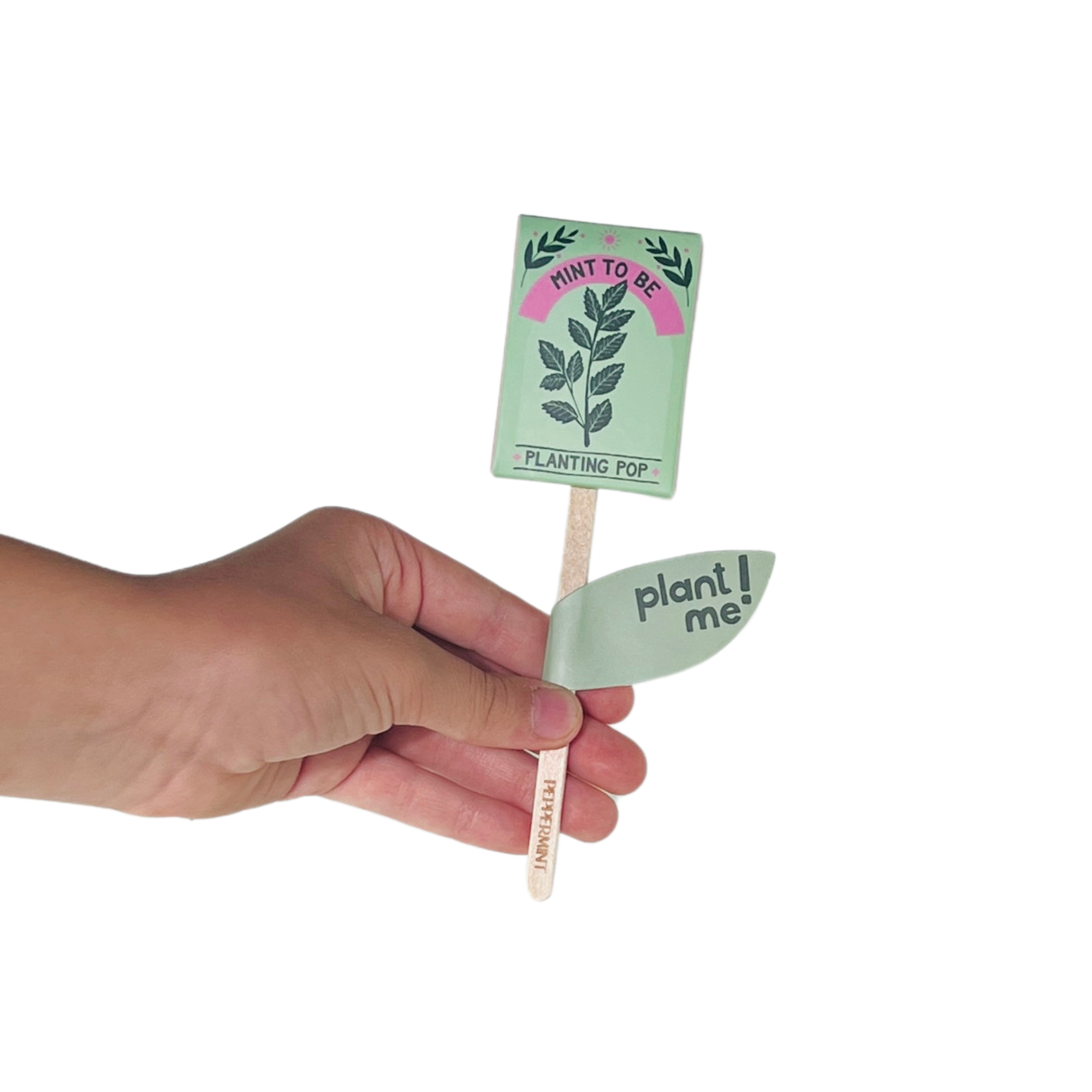 Sow the Magic - Wholesale Plant Seeds - Mint To Be 💚 Garden + Gift Seed Planting Pop6
