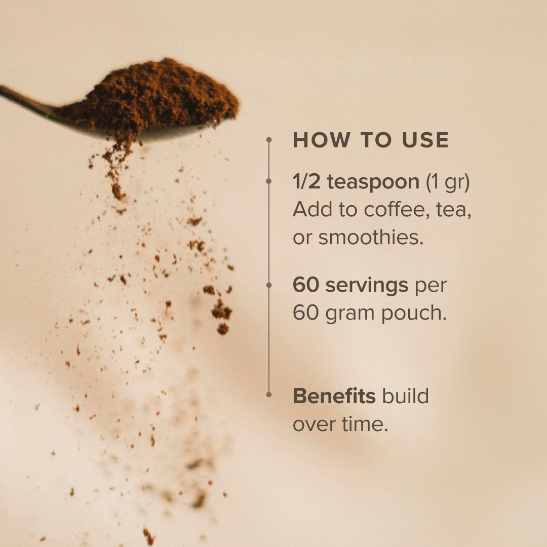 Bloomable Natural Products - Wholesale Protein/Superfood Powder - Chaga Mushroom Extract Powder (60 gr)2