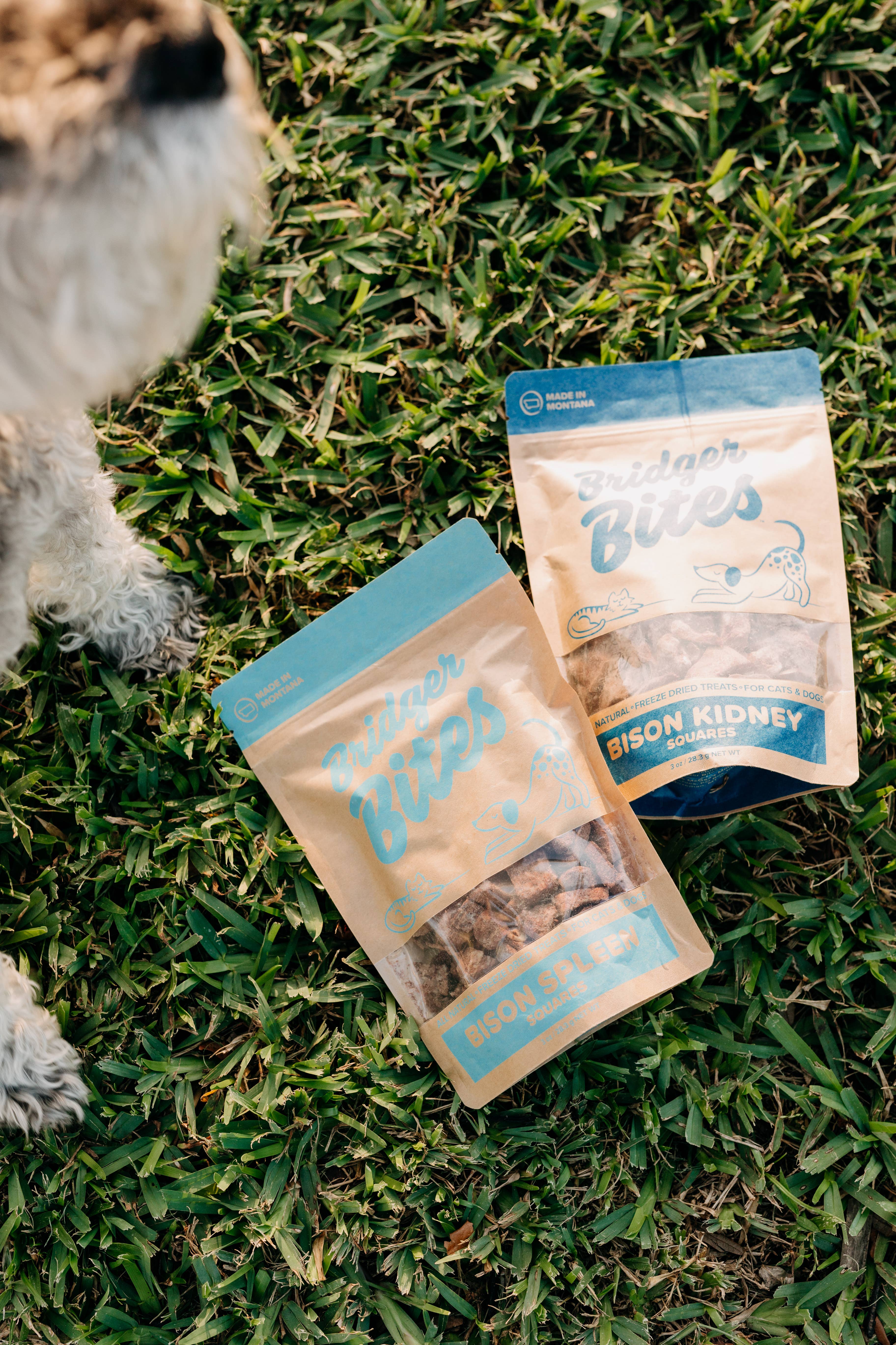 Bridger Bites, LLC - Wholesale Pet Treats - Dog - Freeze-Dried Bison Kidney3