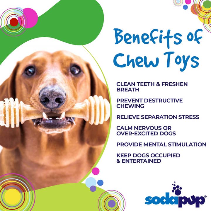 SodaPup Dog Toys - Wholesale Pet Chew Toy - Dog - Honey Bone Nylon Chew Bone for Dogs