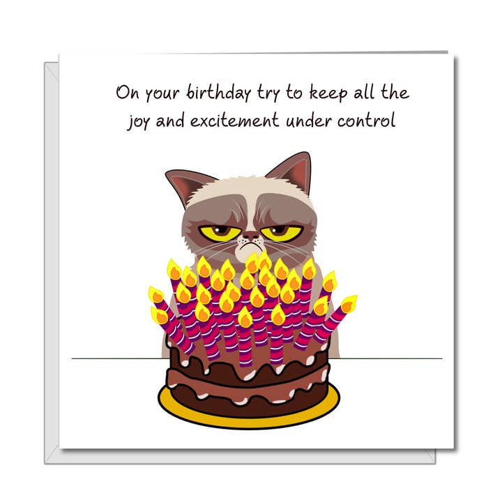 Swizzoo Cards - Wholesale Birthday Card - Grumpy Cat Birthday Card - Funny, humorous, fun - grouchy bad-tempered - husband dad grandad grandpa - humour