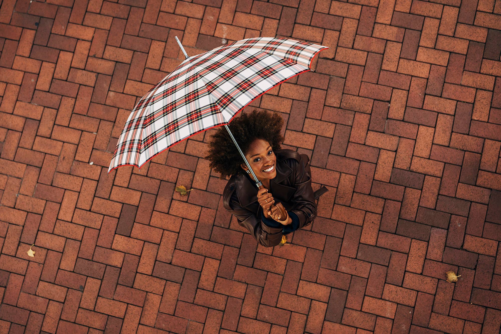 Ezpeleta - Wholesale Umbrella - Unisex - EZPELETA Scottish plaid PYD Classical Regular Umbrella4