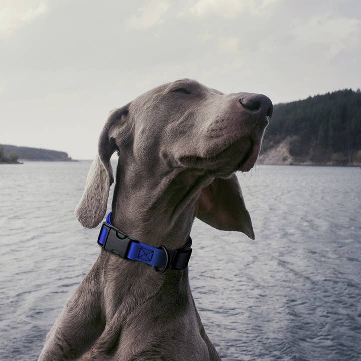 Dogline - Wholesale Pet Collar - Dog - Dogline Biothane Dog Collar with Quick Release