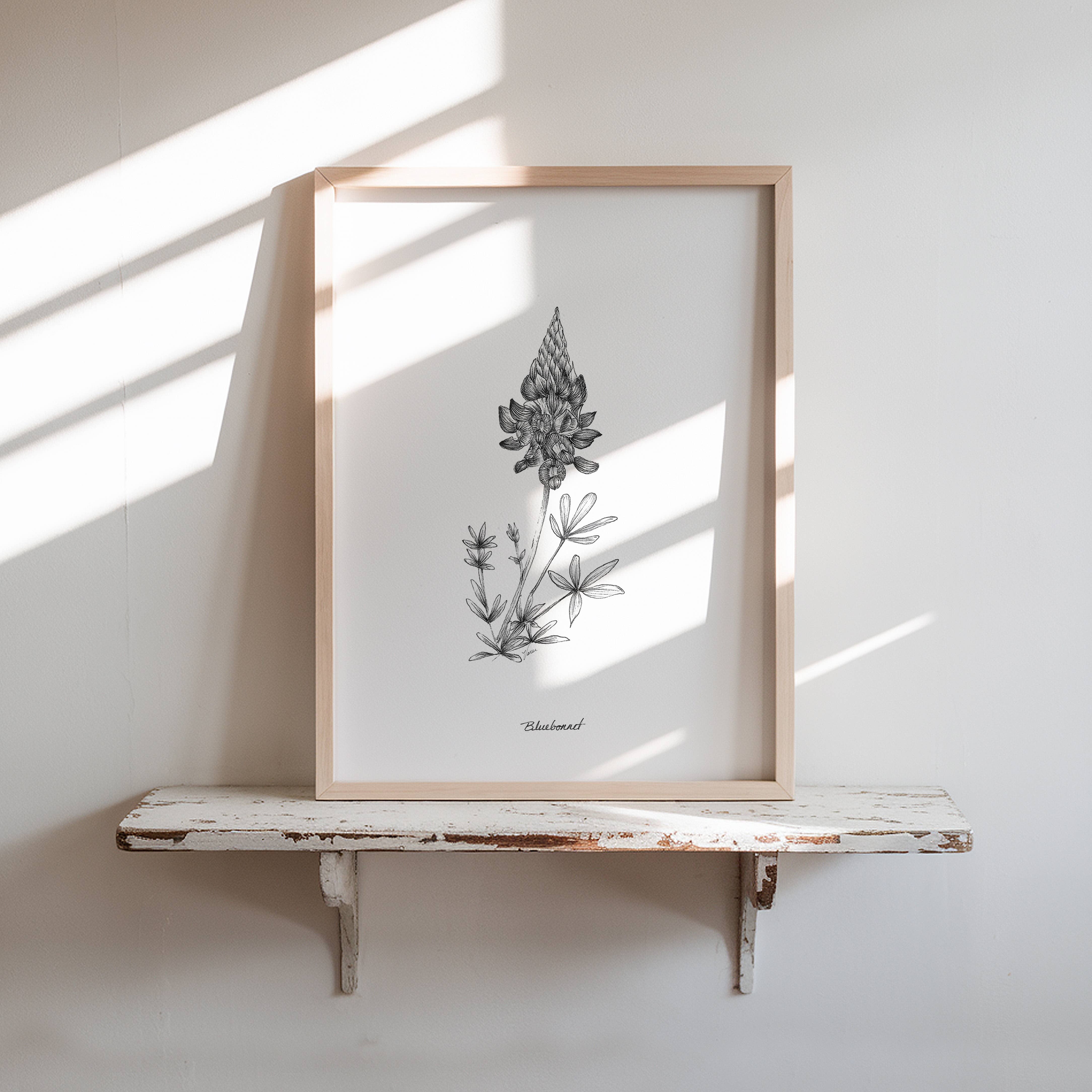 Vanee.ink - Wholesale Art Print - Bluebonnet Print (Texas)0