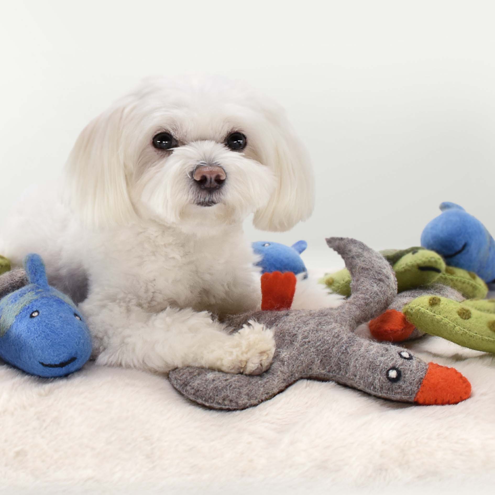 Purrfect Friends - Wholesale Pet Plush Toy - Dog - Ente Nobi1