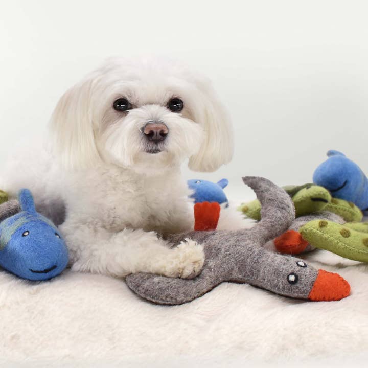 Purrfect Friends - Wholesale Pet Plush Toy - Dog - Ente Nobi1