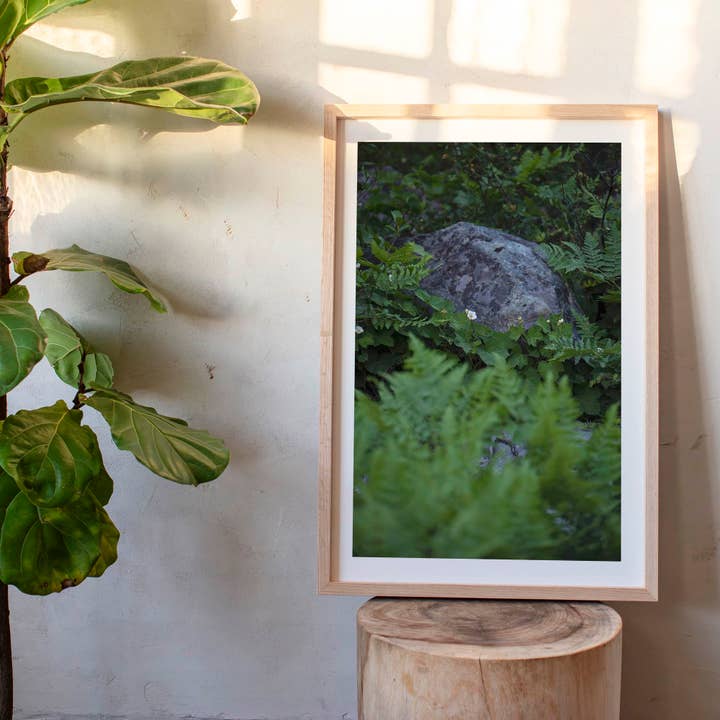 14 juillet 2023 - Forêt nationale de Plumas, Californie pour la vente par Jess Gibbs Photography