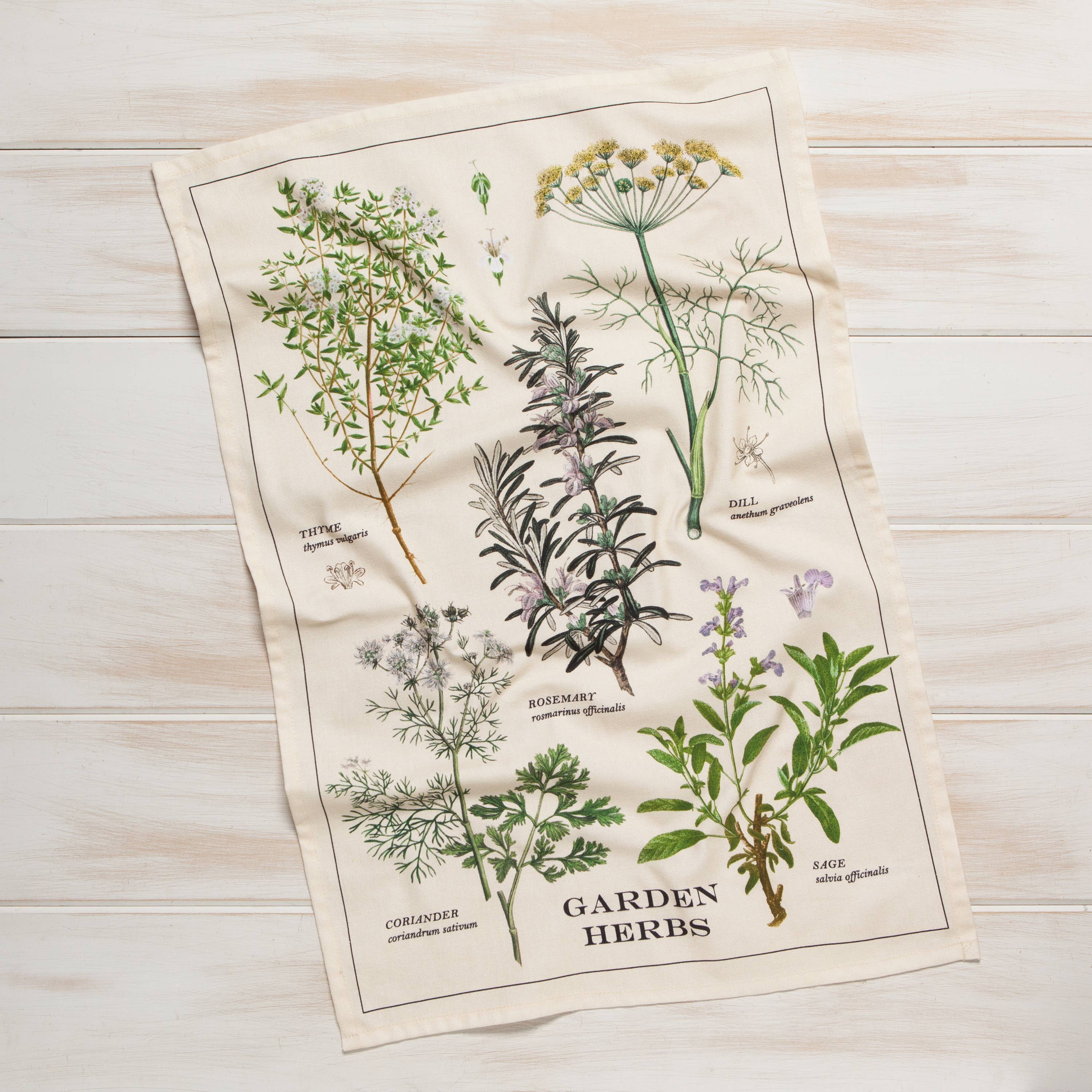 Now Designs by Danica - Wholesale Tea Towel - Garden Herbs Dishtowel2