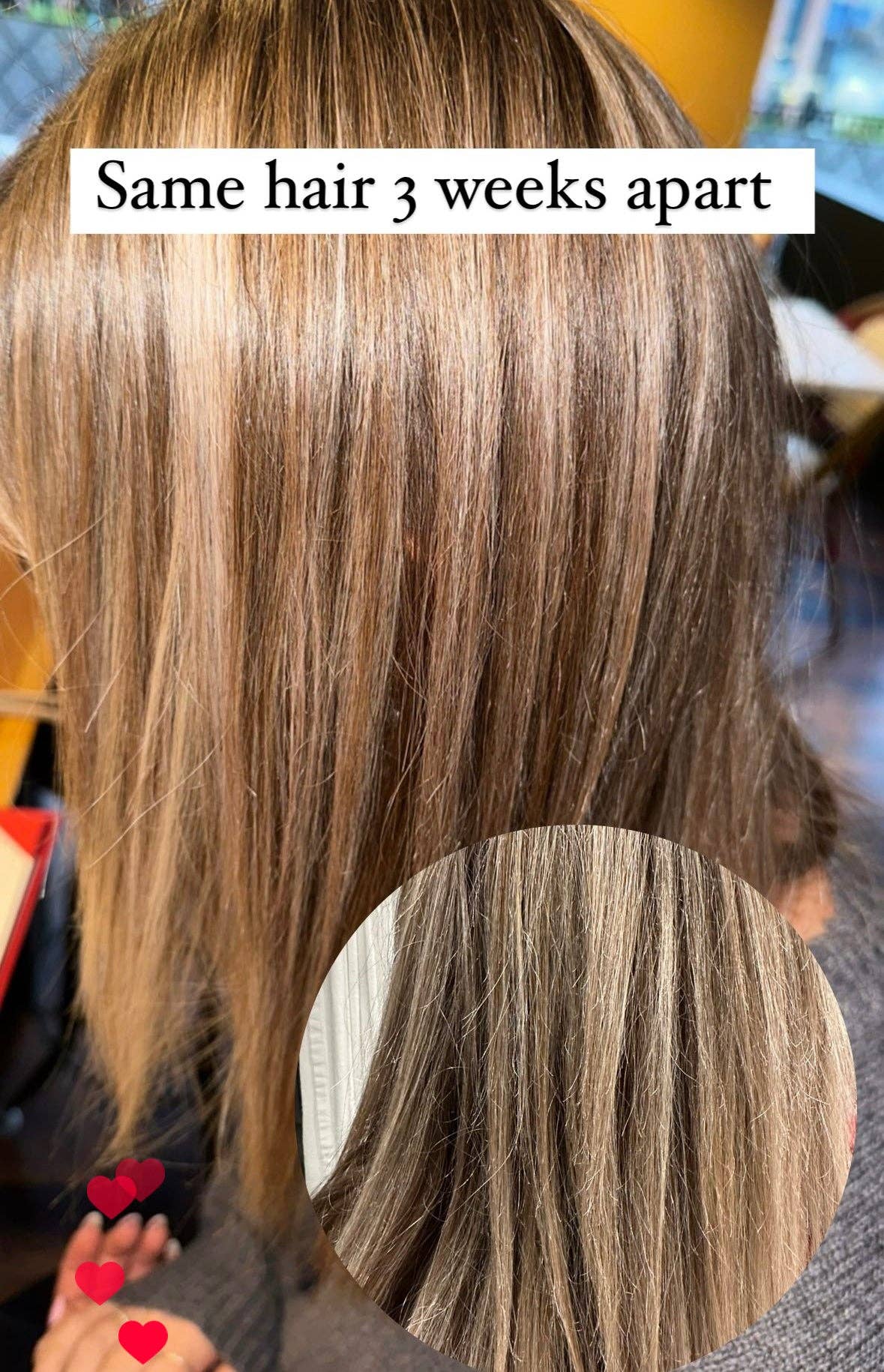 Sutton Michelle Designs - Wholesale Hair Oil - Growth Scalp Oil7